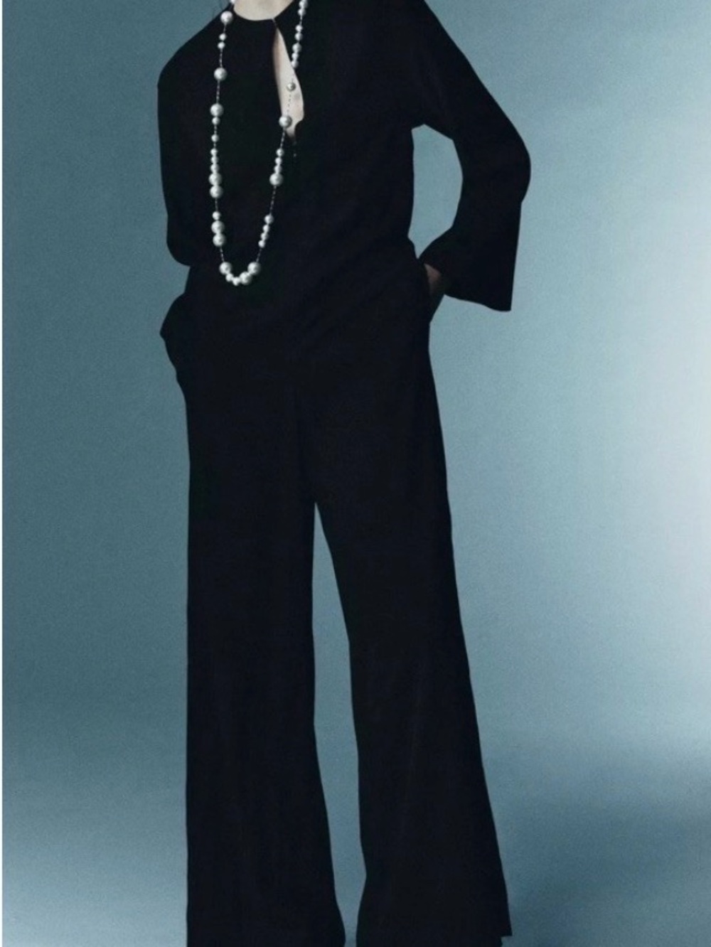 Zara Black Wide-Leg Jumpsuit with V-Neck